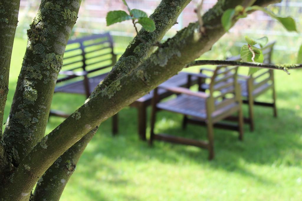 Emlichheim Pur Hotel מראה חיצוני תמונה